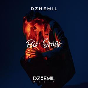 Bir Ömür