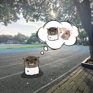 一半一半