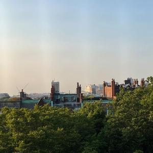 love of my (demo) [week]