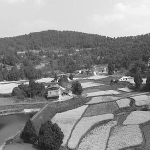 不能和你在一起