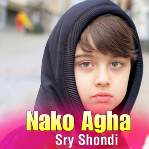 Sry Shondi