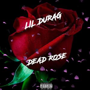 Dead Rose