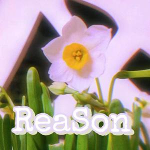 ReaSon