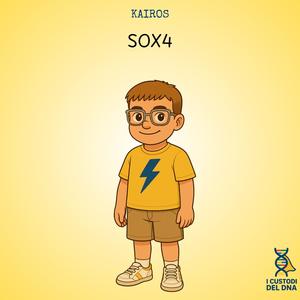 Kairos (per sensibilizzare sulla SOX4)