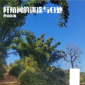 阡陌间的迷途与归处