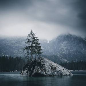 飞鸟（flying birds）