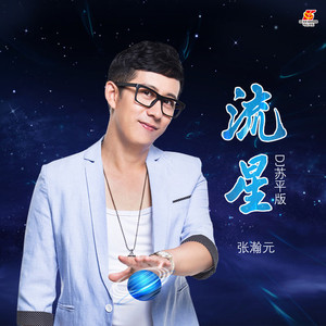 流星 (DJ苏平版)