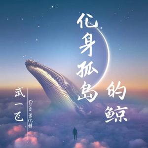 化身孤岛的鲸