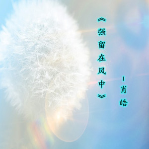 强留在风中