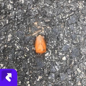 -= 转身之后 =- (现场)