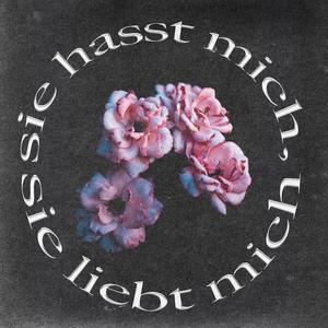 sie hasst mich,liebt mich (sonne)