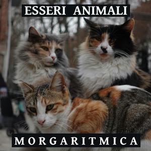 Esseri Animali