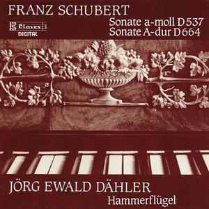 Sonata in A Major, Op. Posth. 120, D. 664: III. Allegro