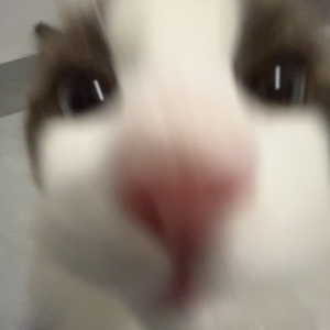 重逢是妄念 想念是本能