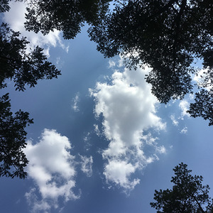 夕焼けに染まる