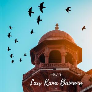 Law Kana Bainana 2020