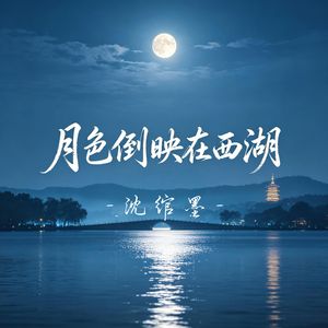 月色倒映在西湖