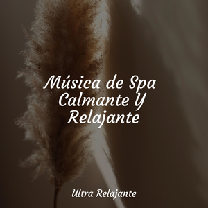 Calmante