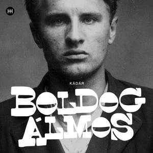 Dohány utca, 1977 (Bővített változat)