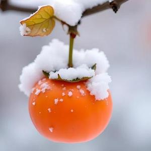 僧行处