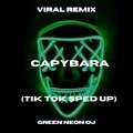 Capybara (Tik Tok Sped Up)(Remix|Explicit)