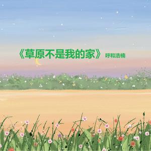 草原不是我的家 (DJ何鹏版 Remix)