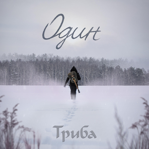 Рыжие крылья