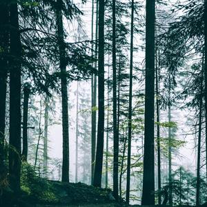 Babies' shusher brown noise