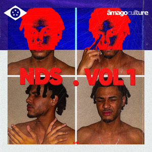 NDS VOL. 1