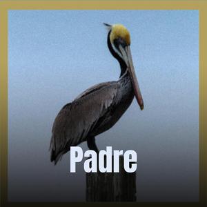 Padre