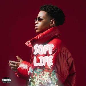 SOFT LIFE (feat. Fabian Dowskii)