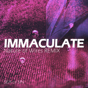 Immaculate (Nature of Wires Remix)