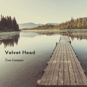 Velvet Head