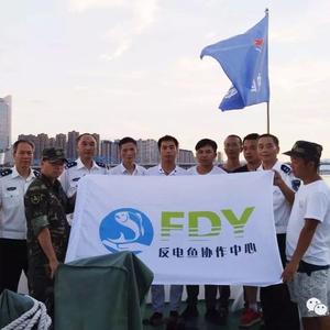 反电鱼志愿者之歌-音乐