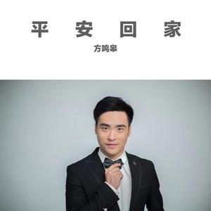 平安回家