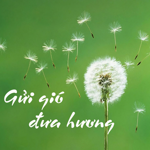 Dừa xanh yêu thương
