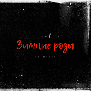 Зимние розы