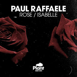 Rose (Vin Sol & Matrixxman Remix)