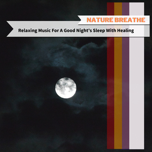 Sleep on the Ceiling