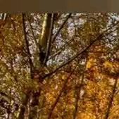 别人拥有的 (12)