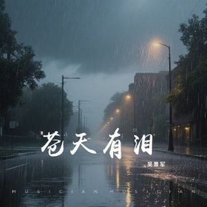 苍天有泪(抒情版)