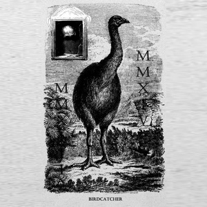 Moss on Bones and Branches