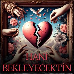 Hani Bekleyecektin