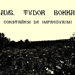 Constrânși de împrejurimi (cu A.U.G. și Bokka)