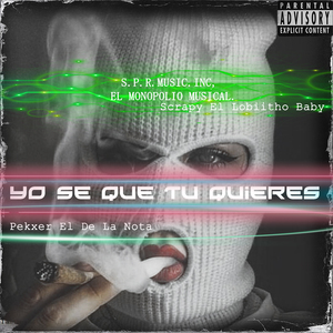 Yo Se Que Tu Quieres