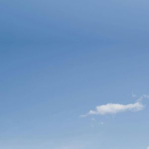 一人我两袖清风