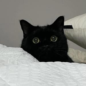 别离开我（Prod.Gr33nart Beats)