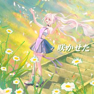 咲かせた（花信风）