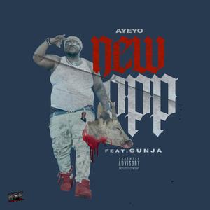 New Opp (feat. Gunja)