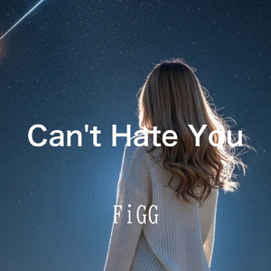 Can’t Hate You